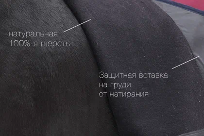 Преимущества шерстяных попон для лошадей